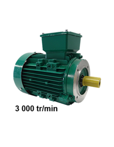 Motor trifásico 220/380 V, B14 3000 rpm