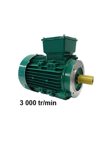 Motor trifásico 220/380 V, B14 3000 rpm