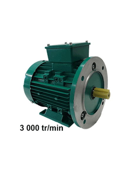 Motor trifásico 220/380 V, B5 3000 rpm