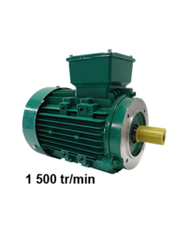 Motor trifásico 220/380 V B14 1500 rpm