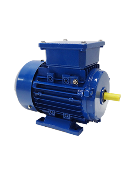 Motor eléctrico 220 V Monofásico 2 conden. B3