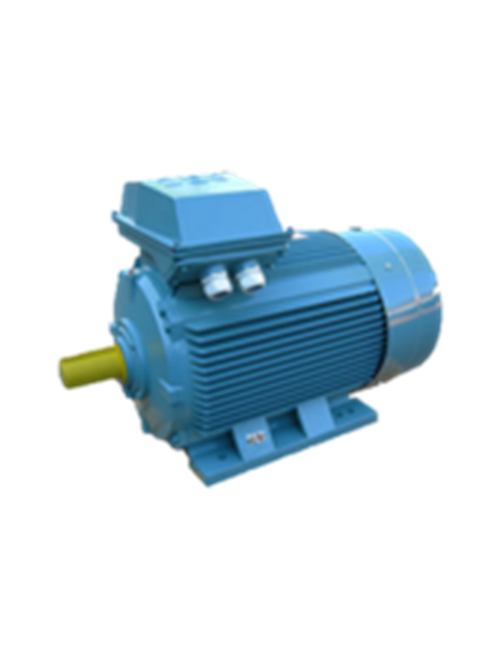 Motor eléctrico asíncrono 3000 rpm B3