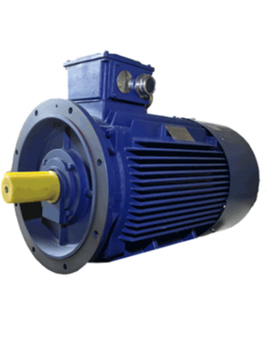Motor eléctrico asíncrono 3000 rpm B5