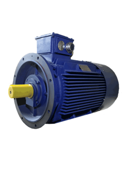 Motor eléctrico asíncrono 3000 rpm B5