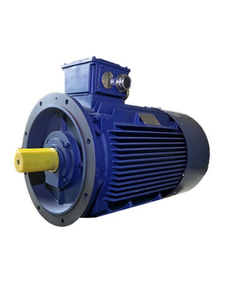Motor eléctrico asíncrono 1000 rpm B5