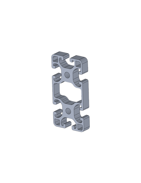 Perfil de aluminio Aluneed TI R8 40x80 6R IPA84080L_10000